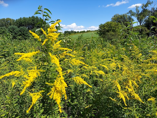 Mass Audubon Canoe Meadows Wildlife Sanctuary