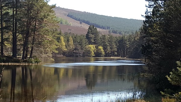 Glen Tanar
