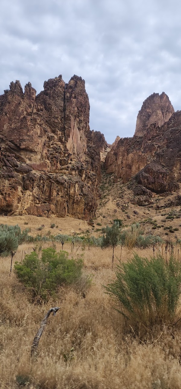 Timber Gulch 5