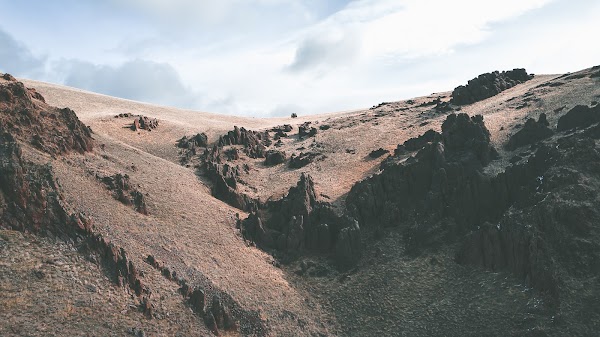 Timber Gulch 4