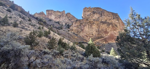Timber Gulch 3