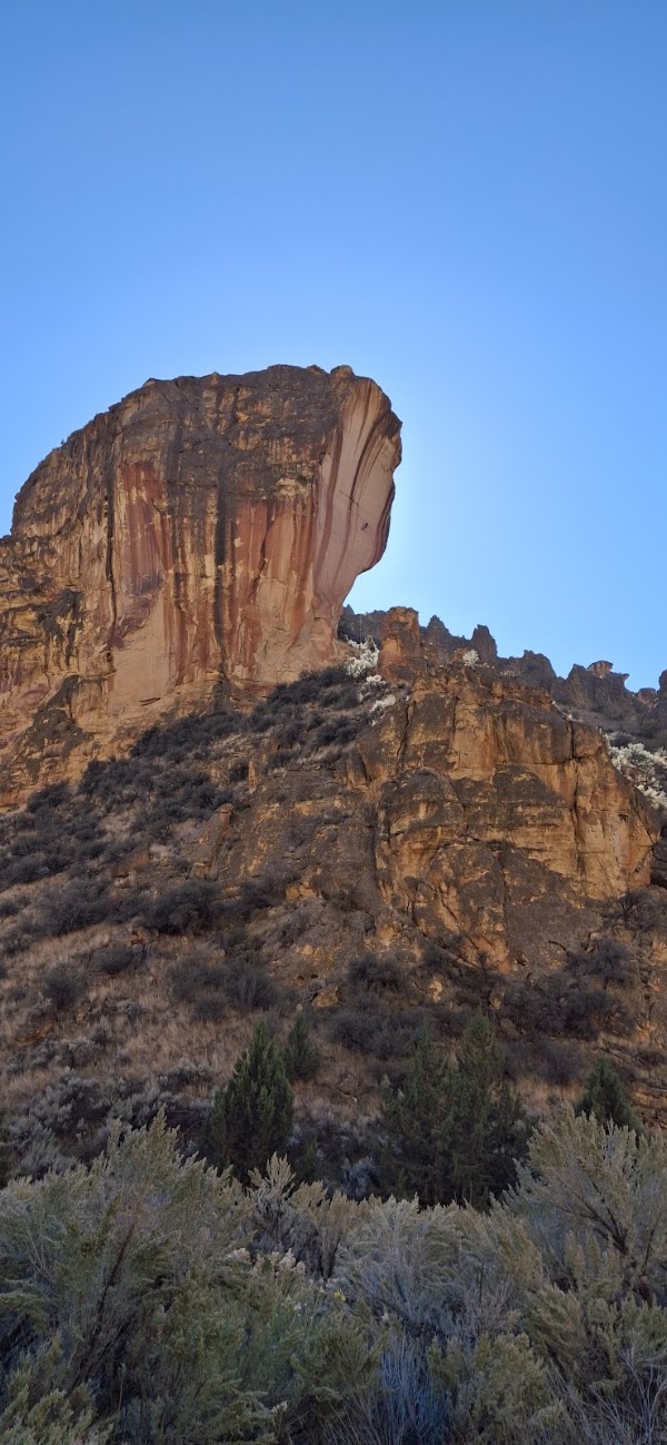 Timber Gulch 2