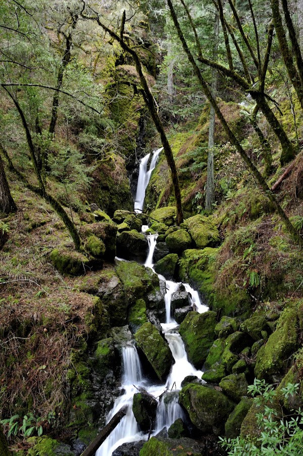 Hike 37