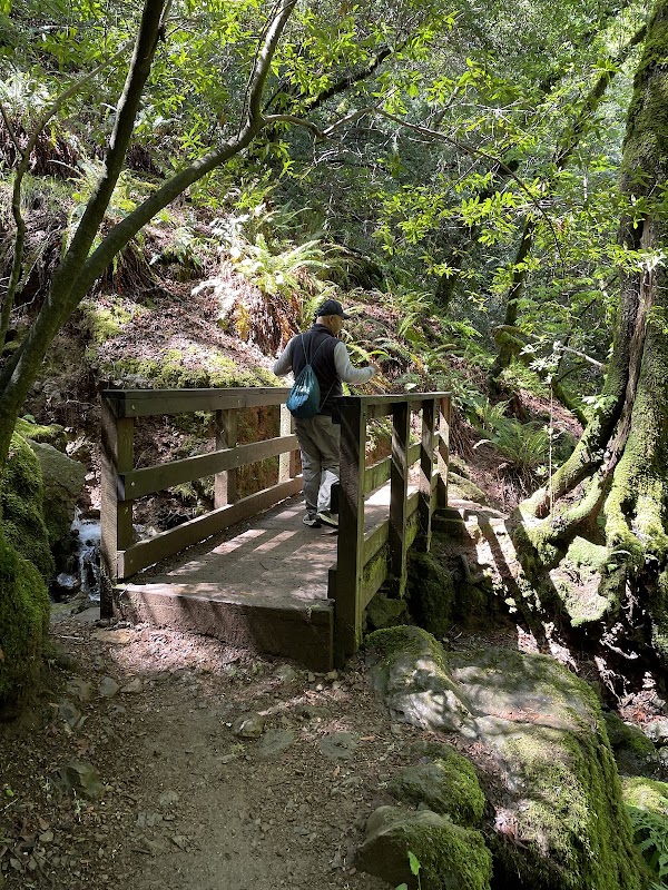 Cataract Falls 2