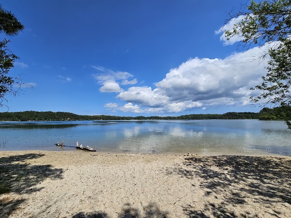 Cape Cod 14
