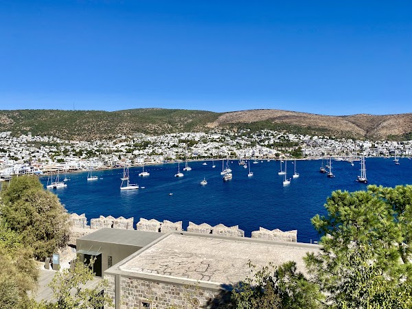 Bodrum marina