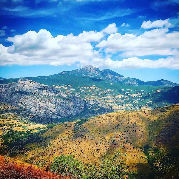 Pollino
