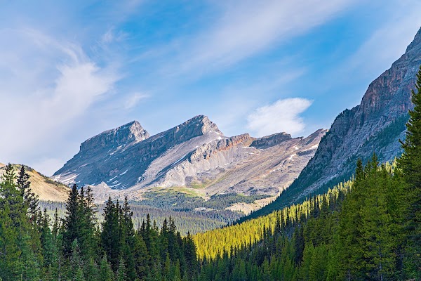Mount Hector 1