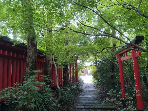 Jintoku Inari Shrine 3