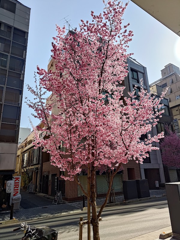 Honshirogane dori Street