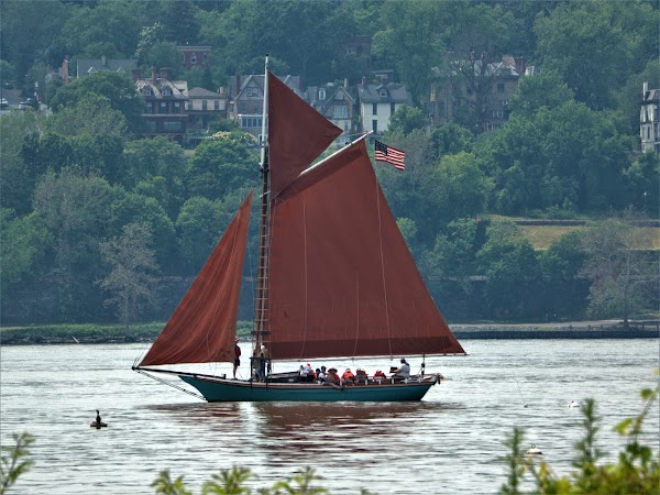 Beacon Sloop Club 1