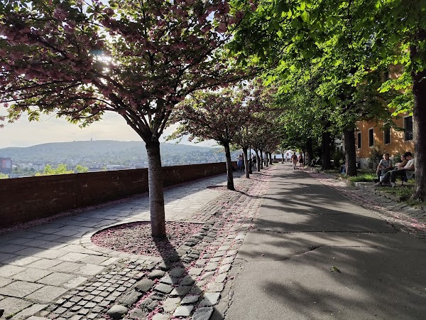 Tóth Árpád promenade