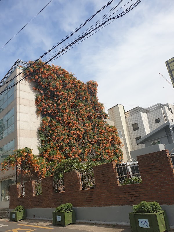 대구 능소화 폭포