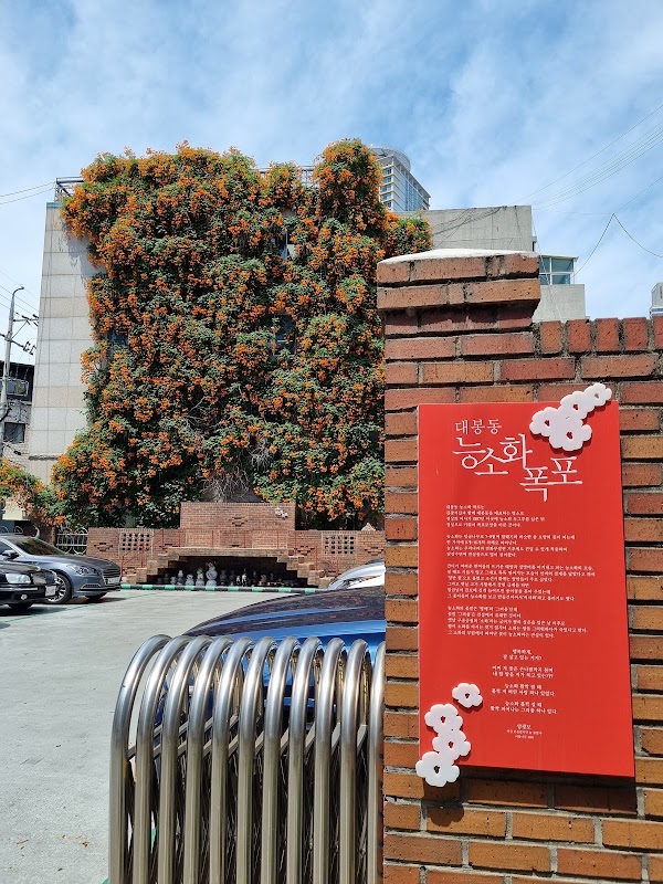 대구 능소화 폭포 3