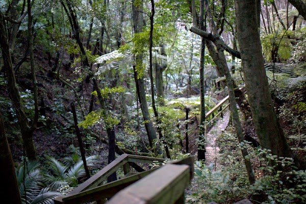 Glenfern Sanctuary 1