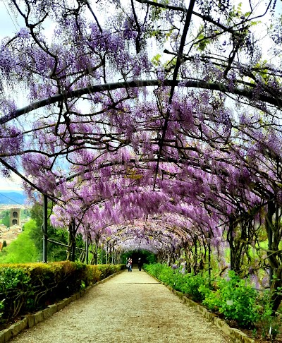 Giardino Bardini