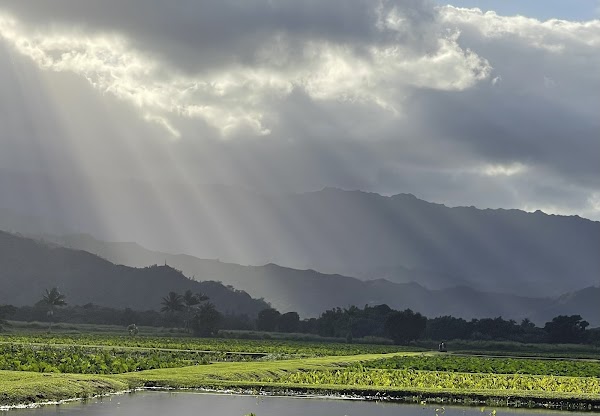 Kauai 3