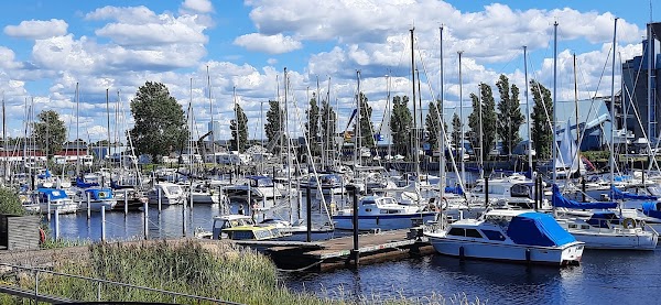 Halmstad 4