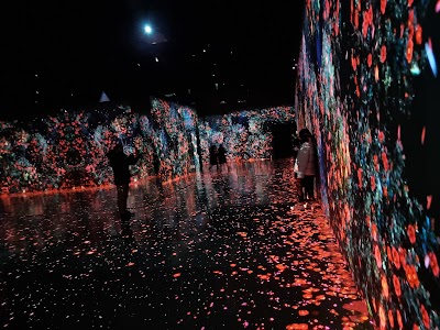 Arte Museum Yeosu 1