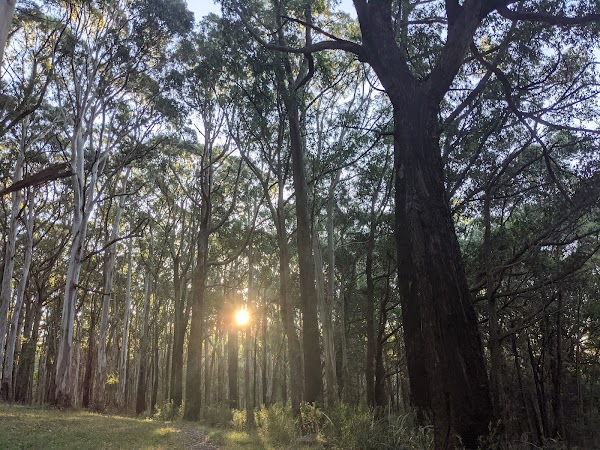 Ferny Creek