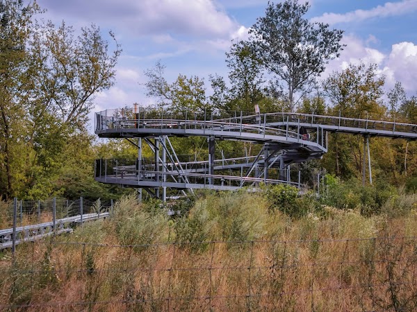Natur-Bobbahn (Leitner Seilbahn Berlin) 2