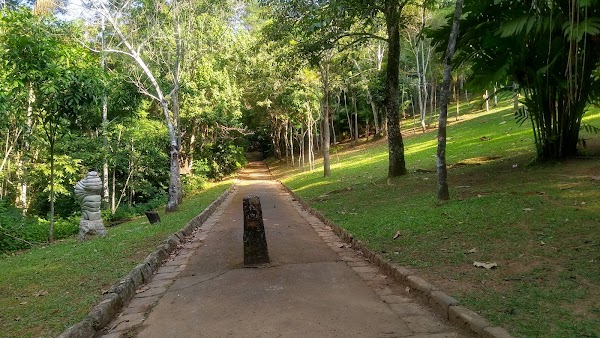 Parque Natural Municipal da Cidade 4
