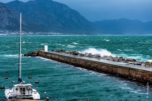 Hermanus New Harbour