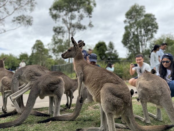 Symbio Wildlife Park 1