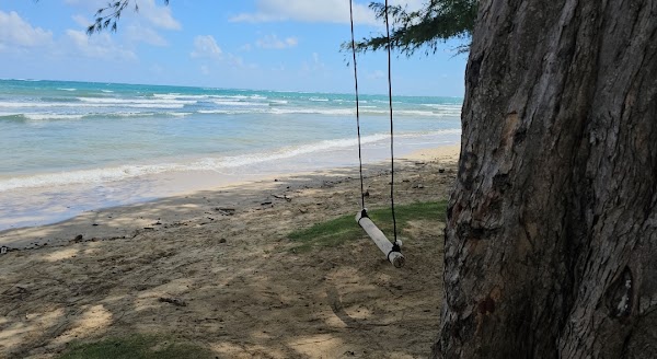 Hau'ula Beach Swing 1