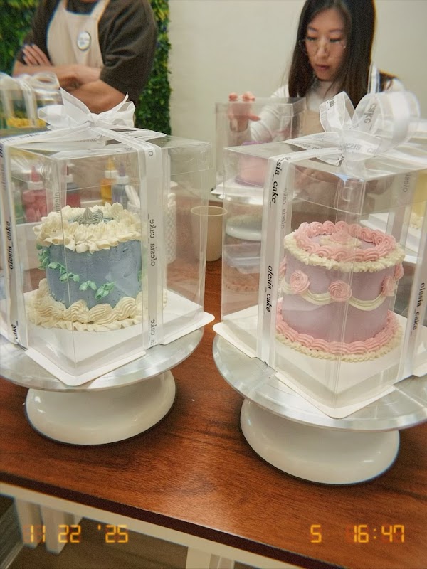 Olesia Cake Studio 3