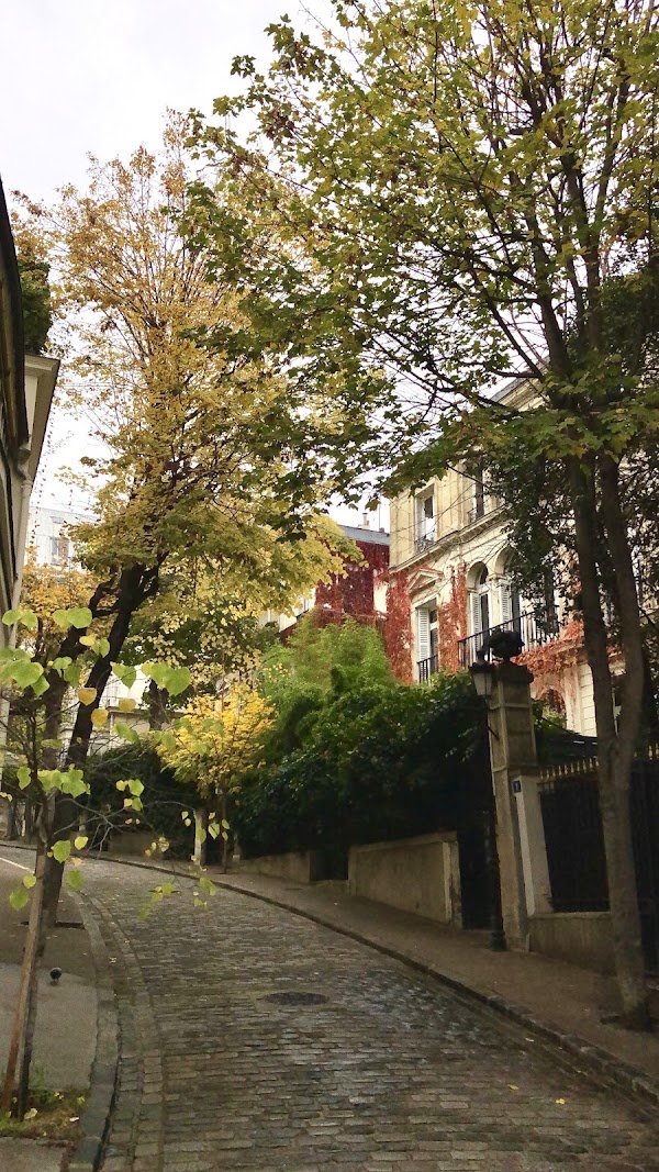 Avenue Frochot
