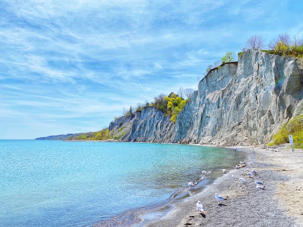 Scarborough Bluffs 5