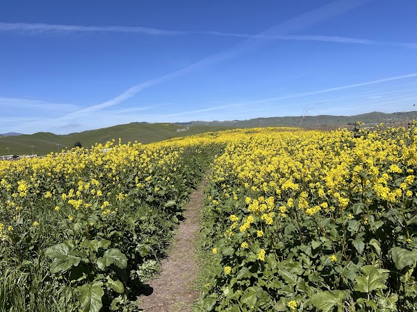 Cayetano Park Hiking trails 5