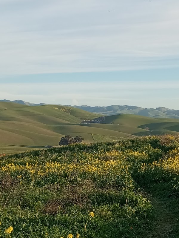 Cayetano Park Hiking trails 4