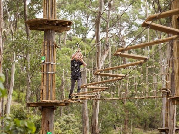 Live Wire Park