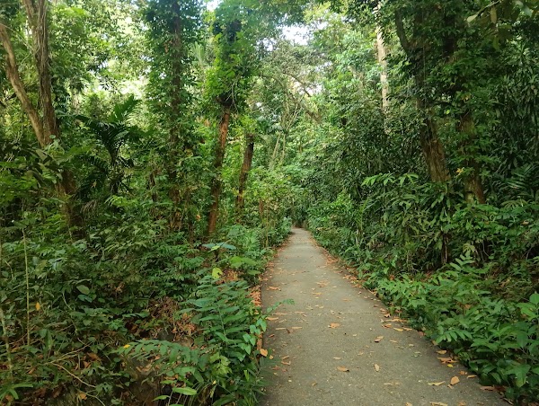 Rifle Range Nature Park 5