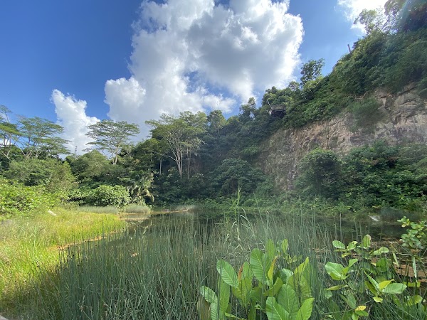 Rifle Range Nature Park 3