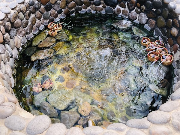 Mae Kachan Hot Spring 5