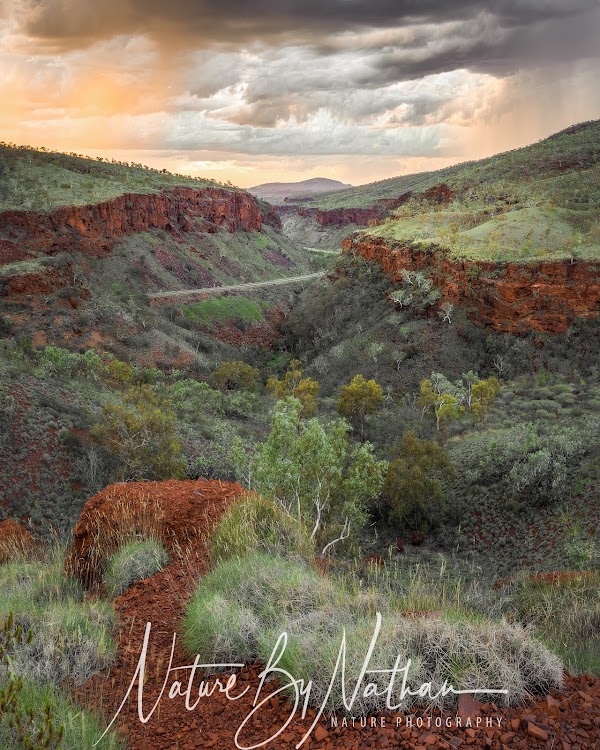 Albert Tognolini Lookout