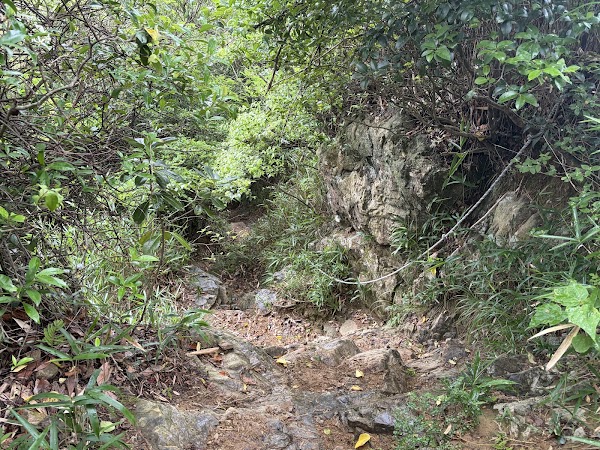 Mt. Komonji 2