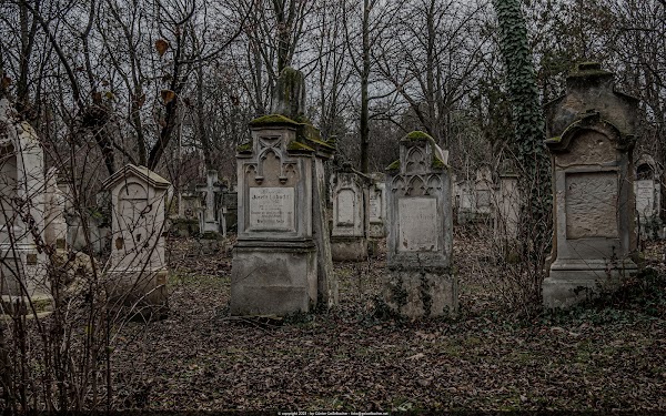 Sankt Marxer Friedhof 3