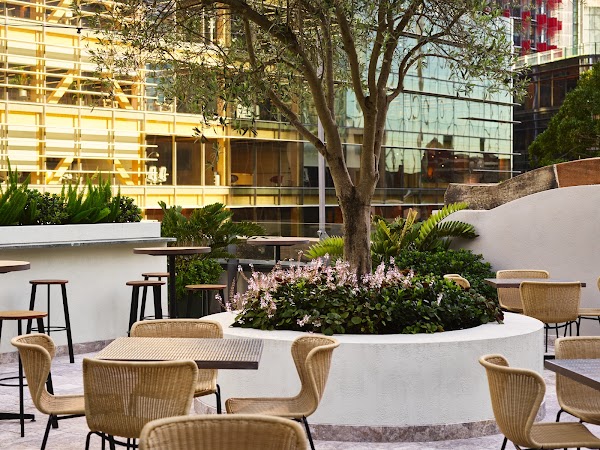 The Sussex Hotel