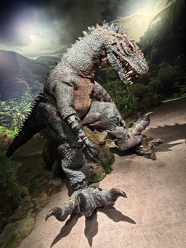 Kurayoshi Figure Museum (Former Meirin Elementary School) 2