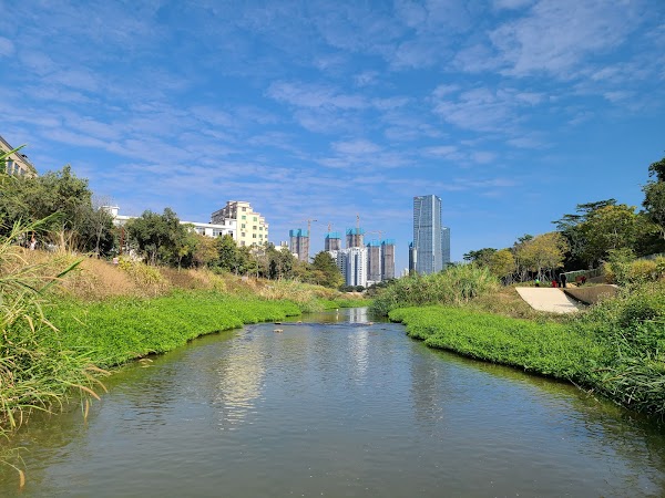 Xili Subdistrict, Shenzhen