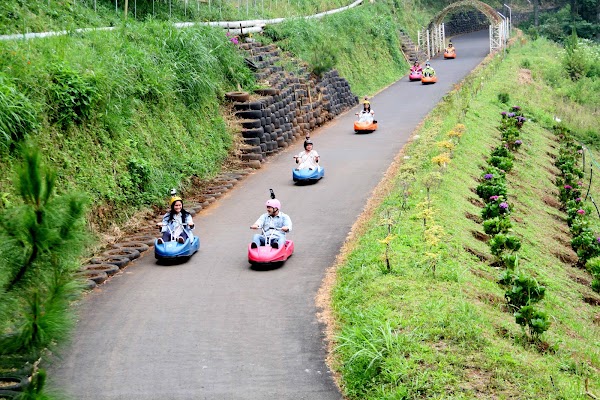 Noah's Park | Wisata Lembang Bandung 1