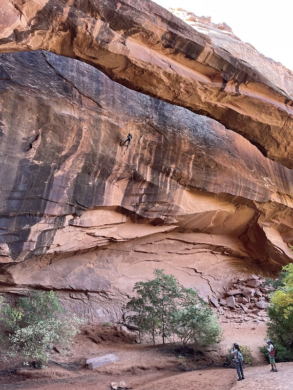 Morning Glory Arch