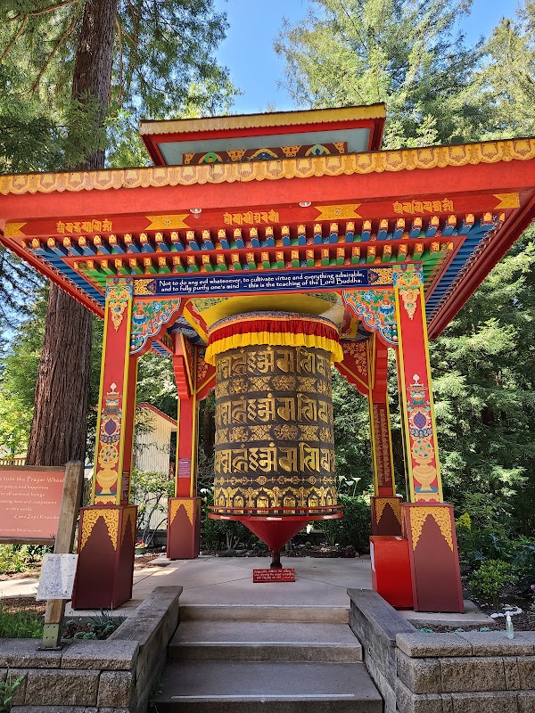 Land of Medicine Buddha 1
