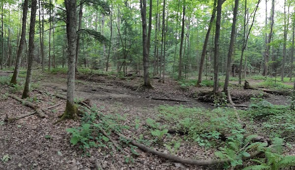 Dave Kerwin Trail 5