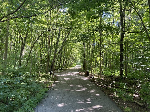 Dave Kerwin Trail 4