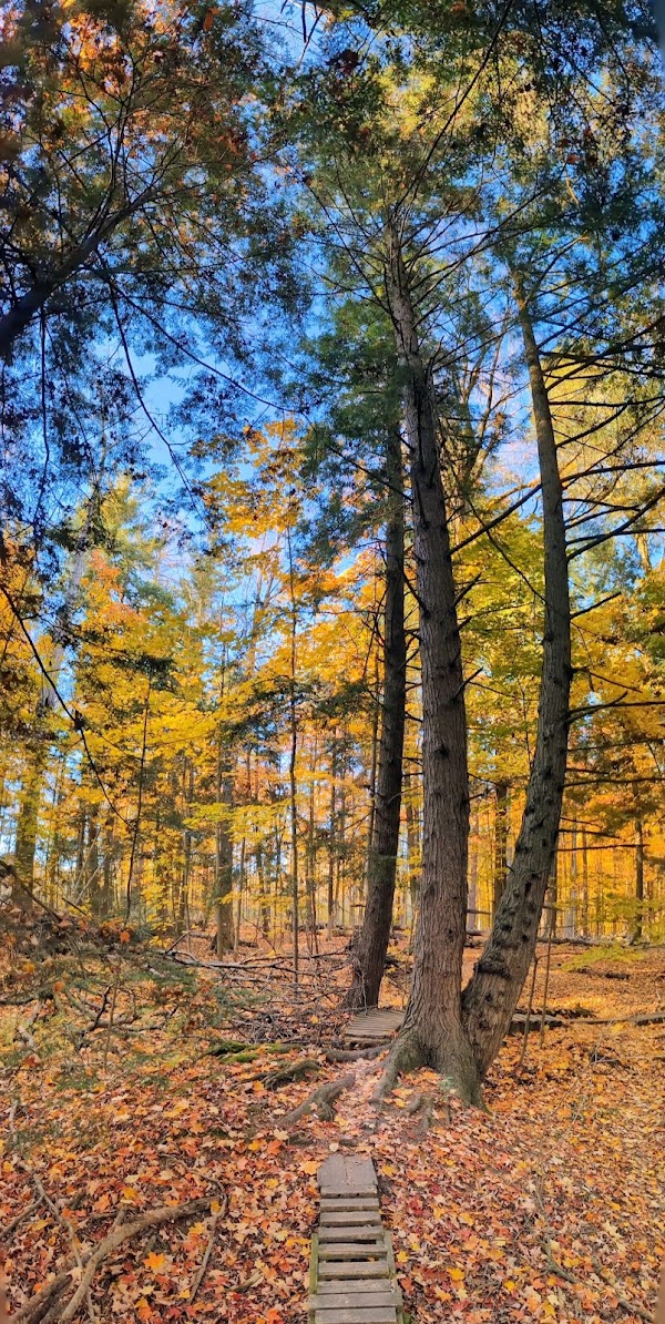 Dave Kerwin Trail 3